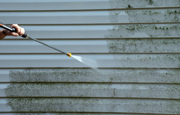 Best Driveway Pressure Washing  in Donald, OR